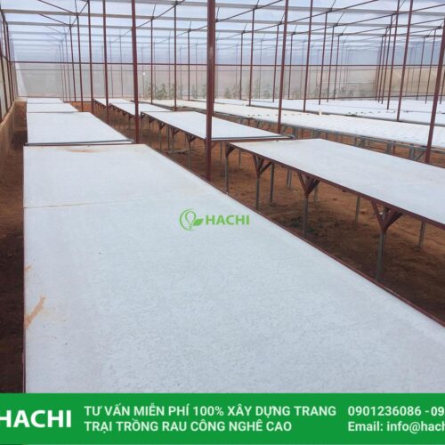 Nhà màng ươm cây giống 6 26972158 540482119655097 751056745 o