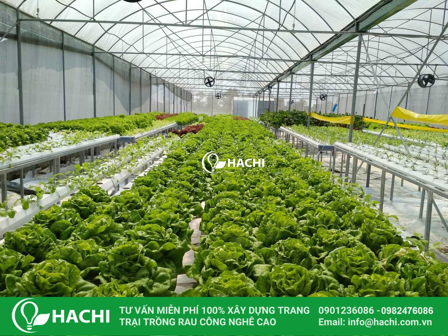 Ha Tinh Farm01