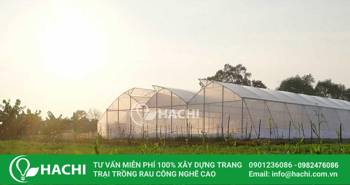 nha mang CT Hue e1538561887658