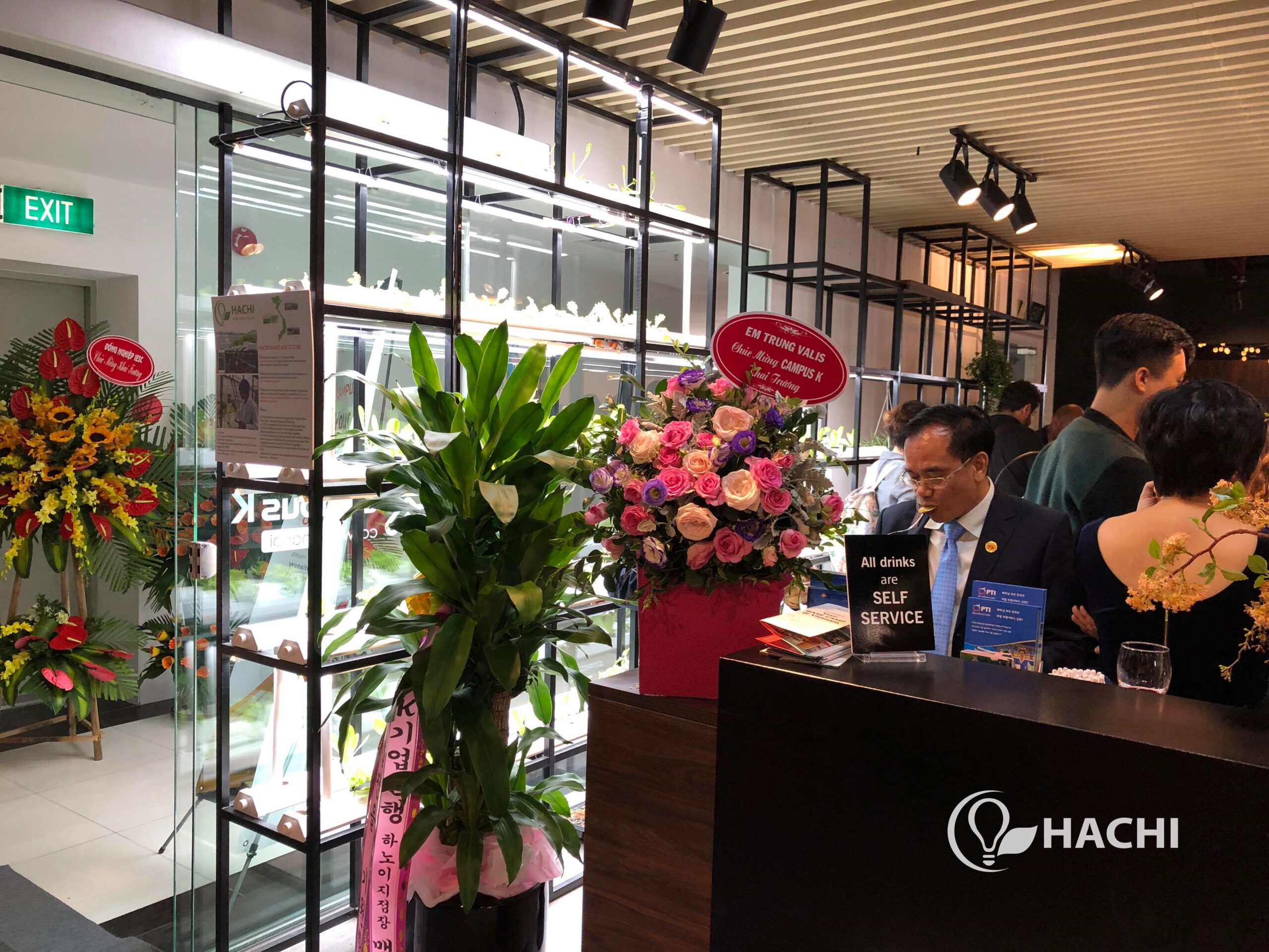 Hệ thống trồng rau chiếu sáng nhân tạo Hachi