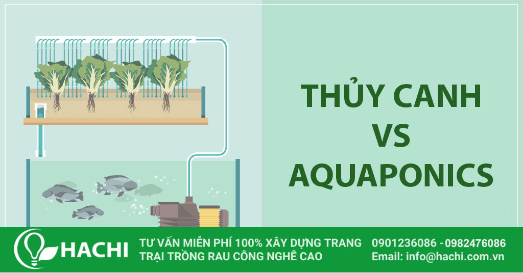 aquaponics open graph 01 01