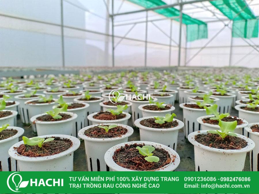 batch 72723349 444647542923691 8223888427876089856 n