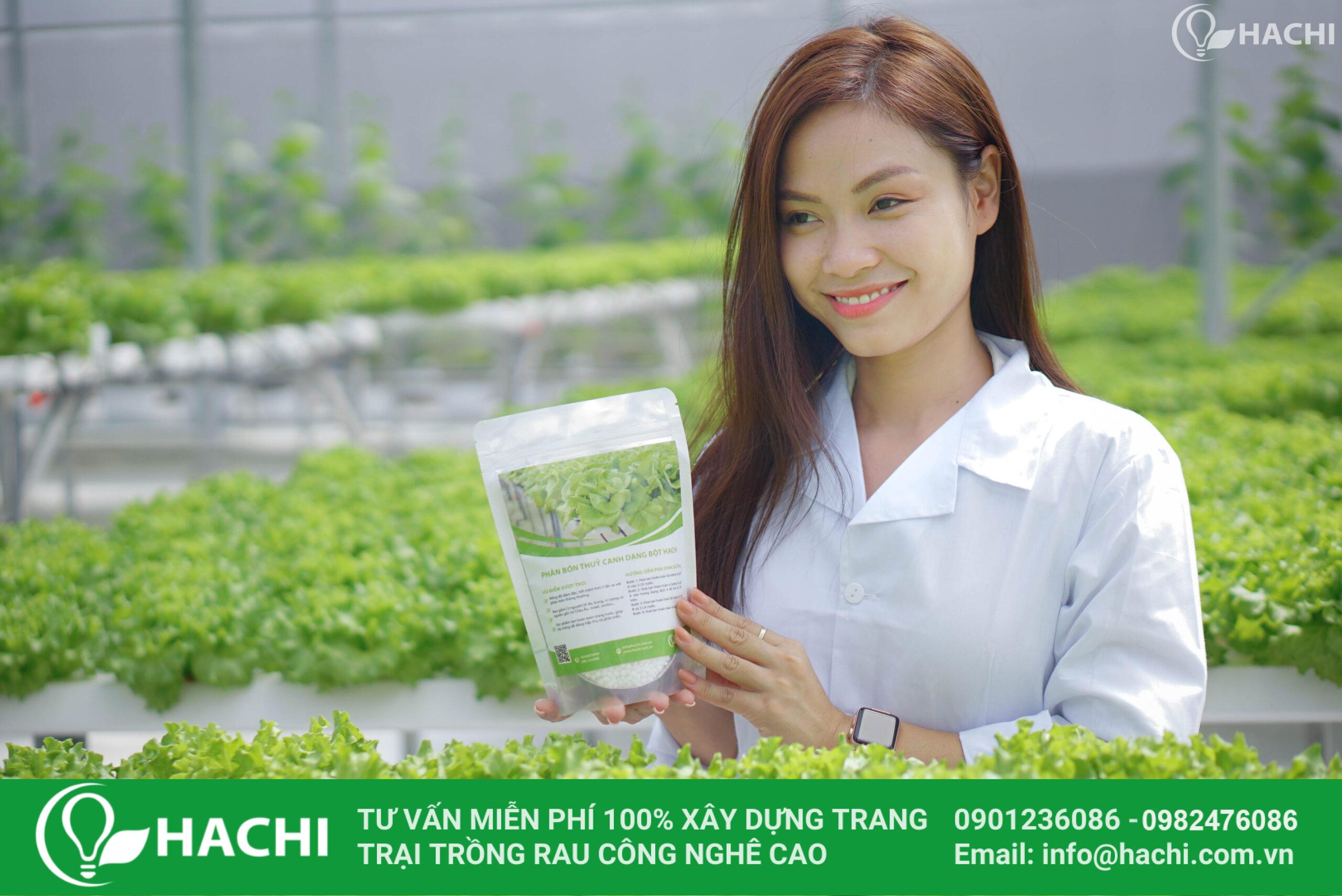 Dinh dưỡng thuỷ canh dạng Bột cho RAU ĂN LÁ 1KG 4 DSC00599 scaled 1