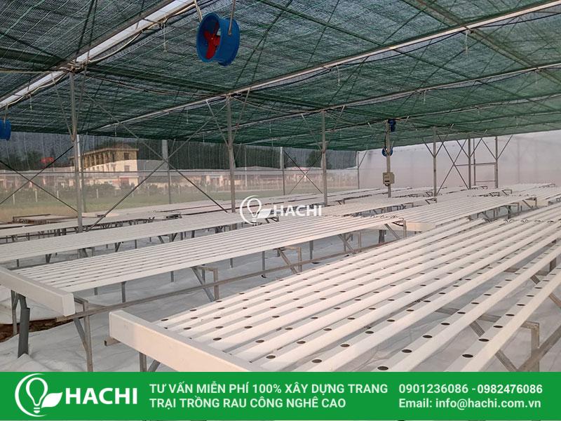 Vật tư thủy canh gồm những gì? Mua ở đâu? 5 batch 78164282 431588480840272 5333574273179058176 n