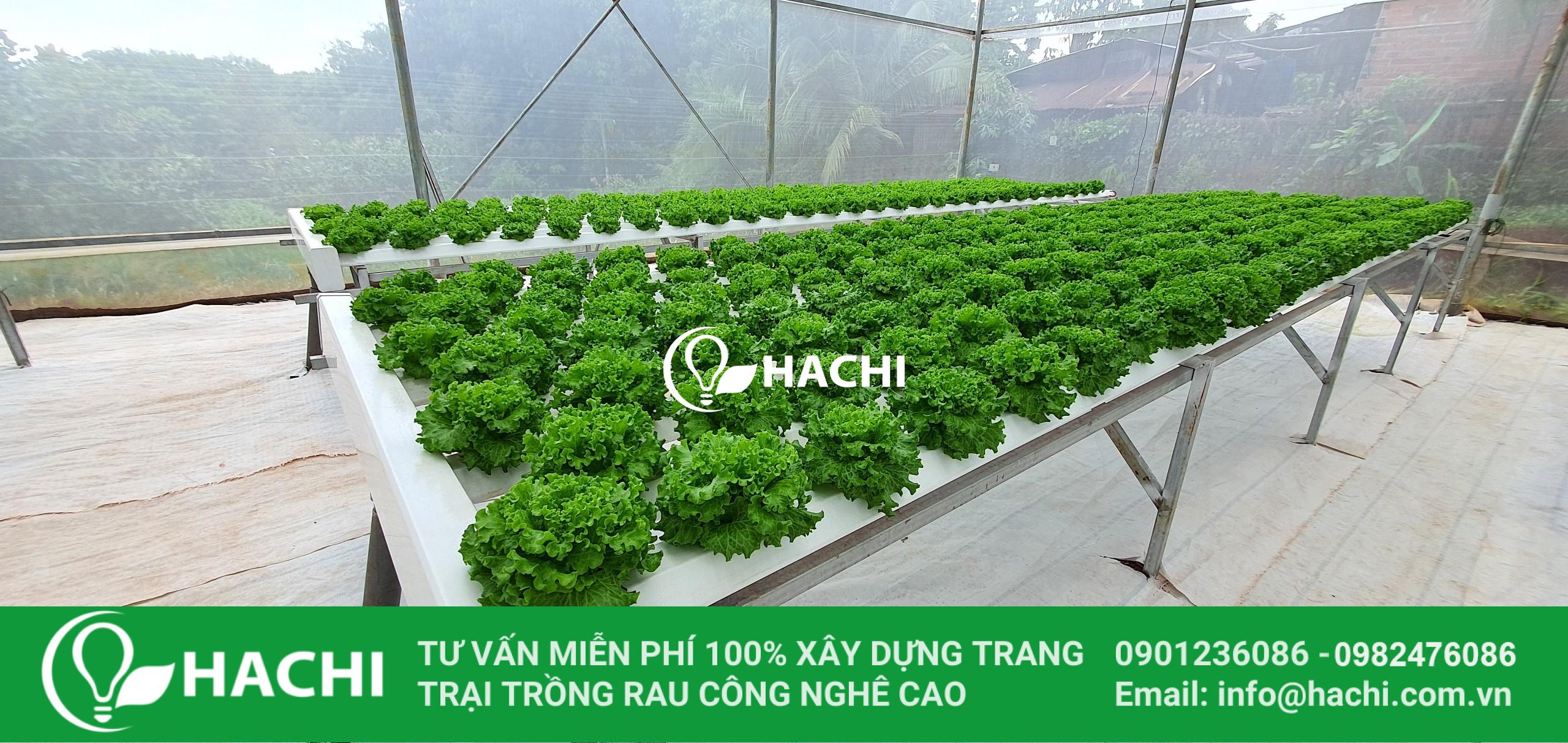 batch 650be84bb58849d61099