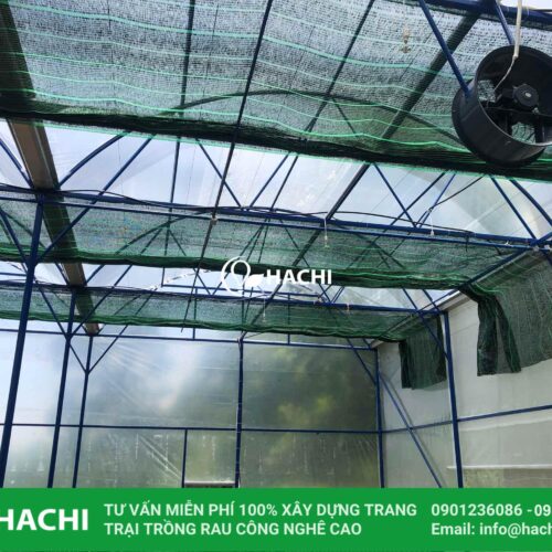 Trang chủ 43 nhà màng trồng hoa lan