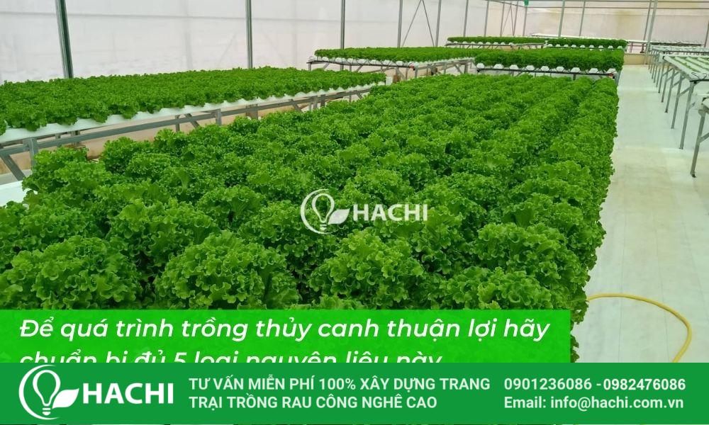 thi cong nha mang