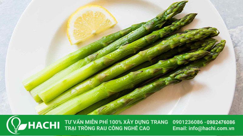 mang tay