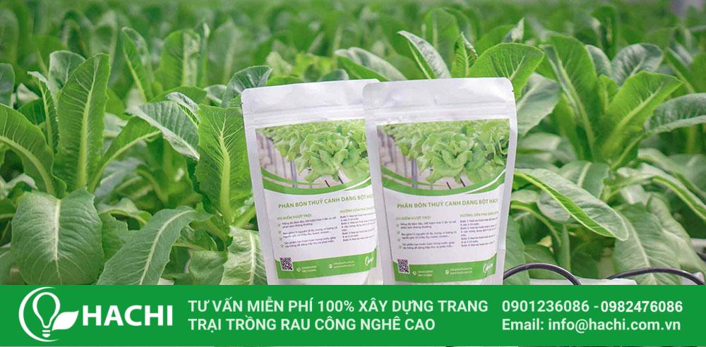 Dinh dưỡng thuỷ canh dạng Bột cho RAU ĂN LÁ 1KG 2 Dinh dưỡng thủy canh Hachi