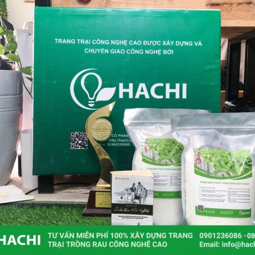 Dinh dưỡng thuỷ canh dạng Bột cho RAU ĂN LÁ 1KG 6 IMG 4311 scaled 1