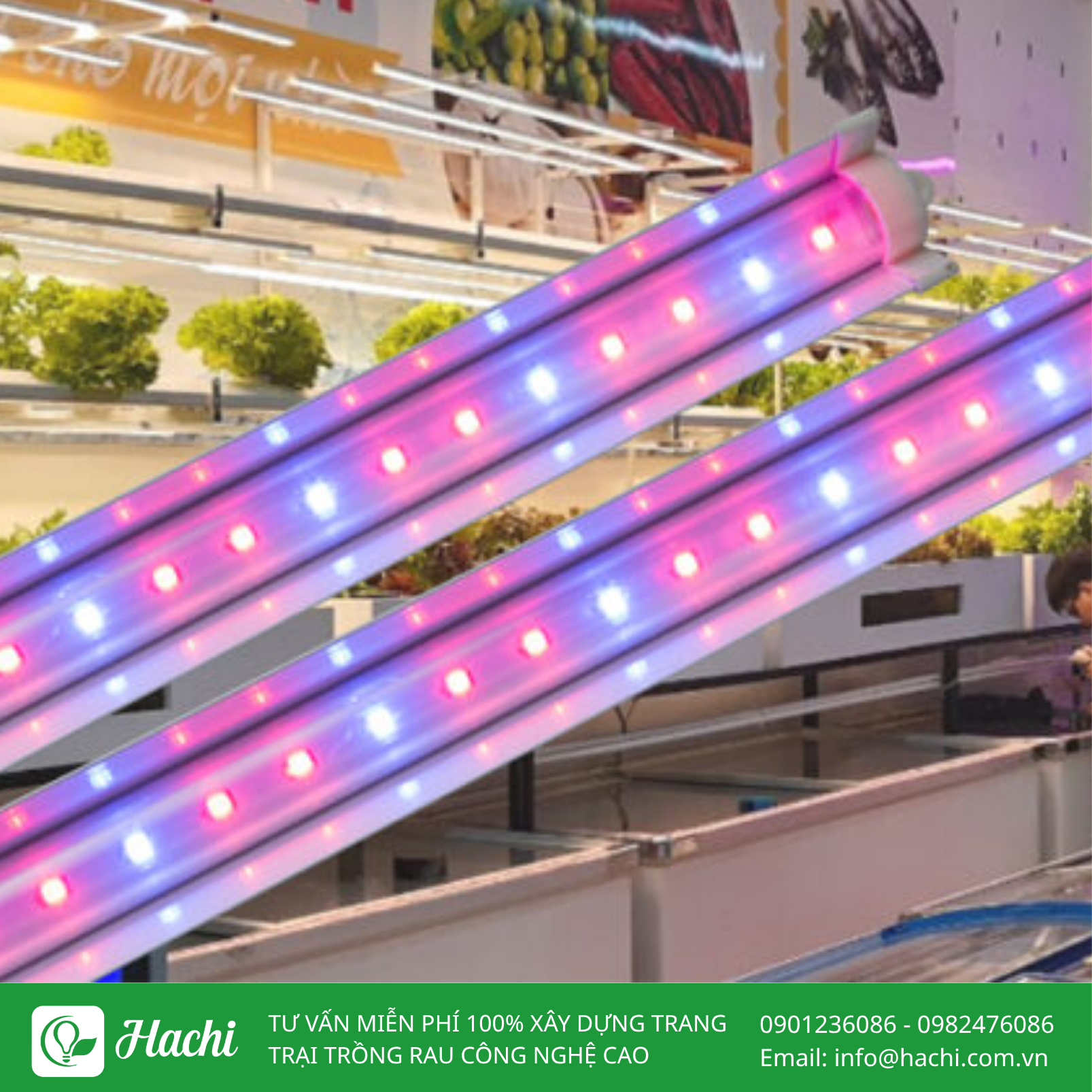 Đèn LED chuyên dụng đơn sắc HC-BR25W 2 DEN LED CHUYEN DUNG DON SAC 1