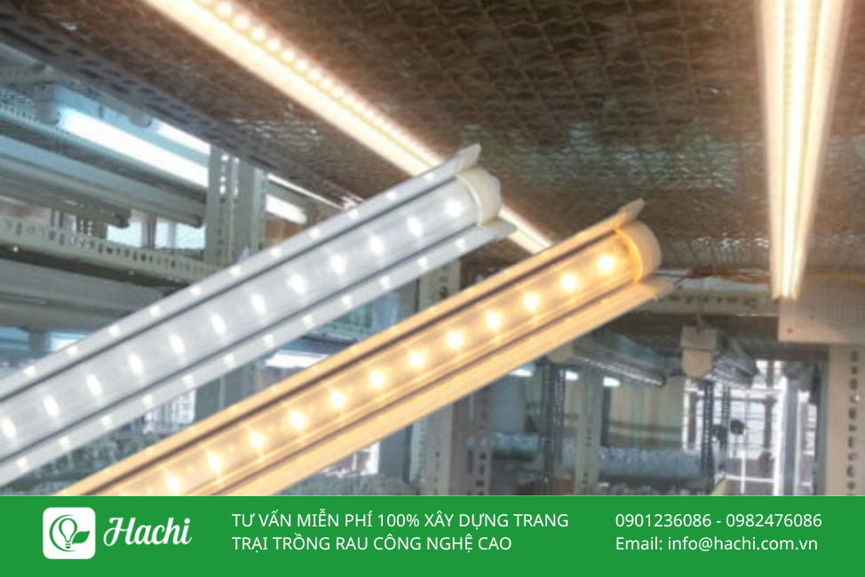 Đèn LED chuyên dụng trồng cây HC16W 2 DEN LED CHUYEN DUNG TRONG CAY 1