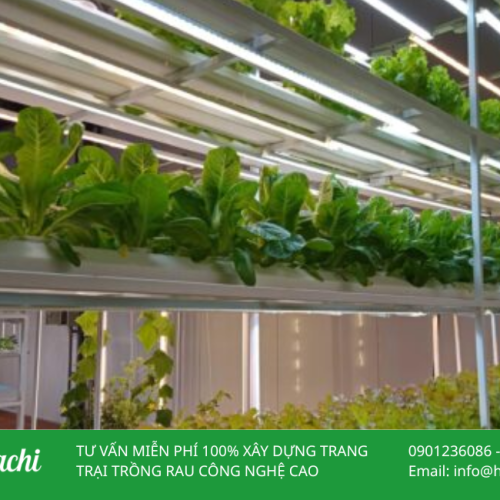 Đèn LED chuyên dụng trồng cây HC16W 7 DEN LED CHUYEN DUNG TRONG CAY 3