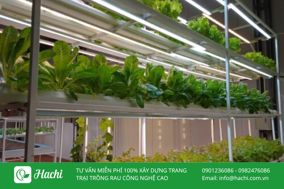 Đèn LED chuyên dụng trồng cây HC16W 4 DEN LED CHUYEN DUNG TRONG CAY 3