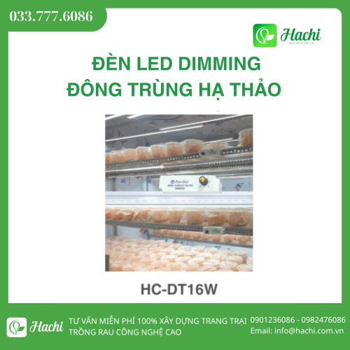 Đèn LED nuôi đông trùng hạ thảo - HCDT16W Dimming