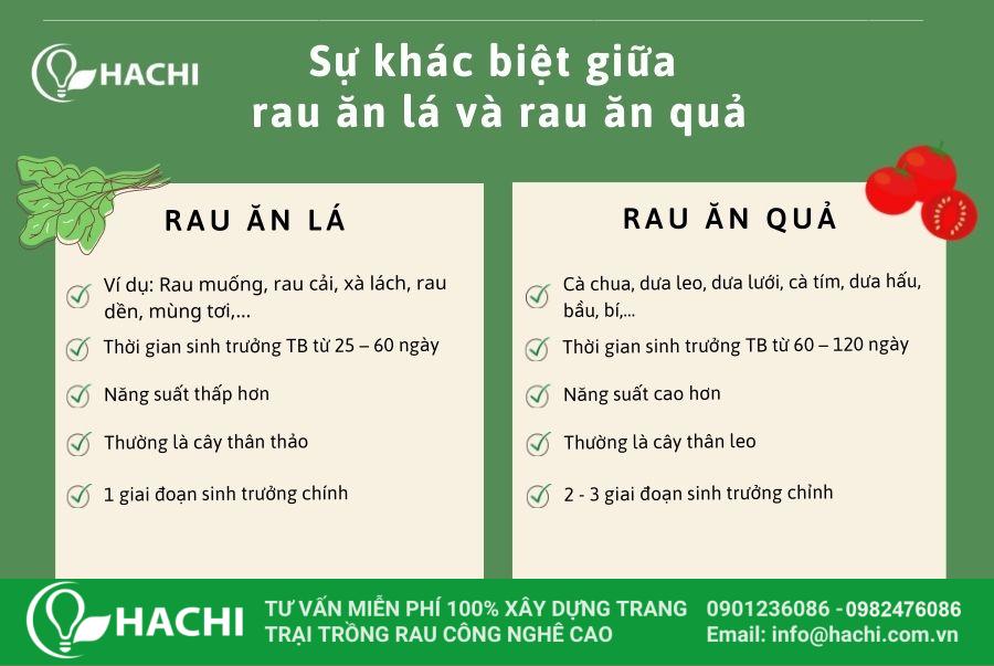 Dung dịch thủy canh cho rau ăn quả Hachi 7 rau ăn lá và rau ăn quả