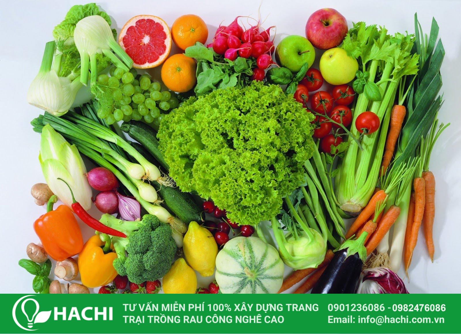 Bảo quản rau củ quả tươi ngon tránh nấm mốc