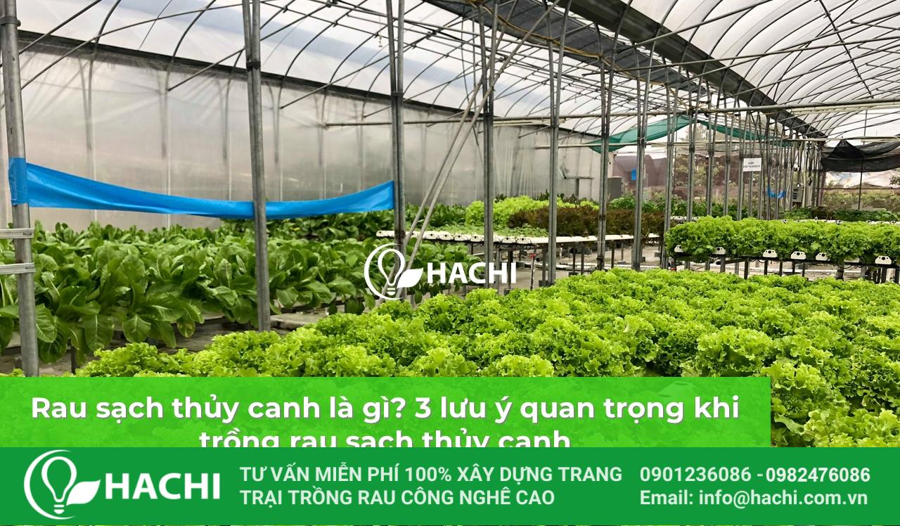 luu y khi trong rau sach thuy canh
