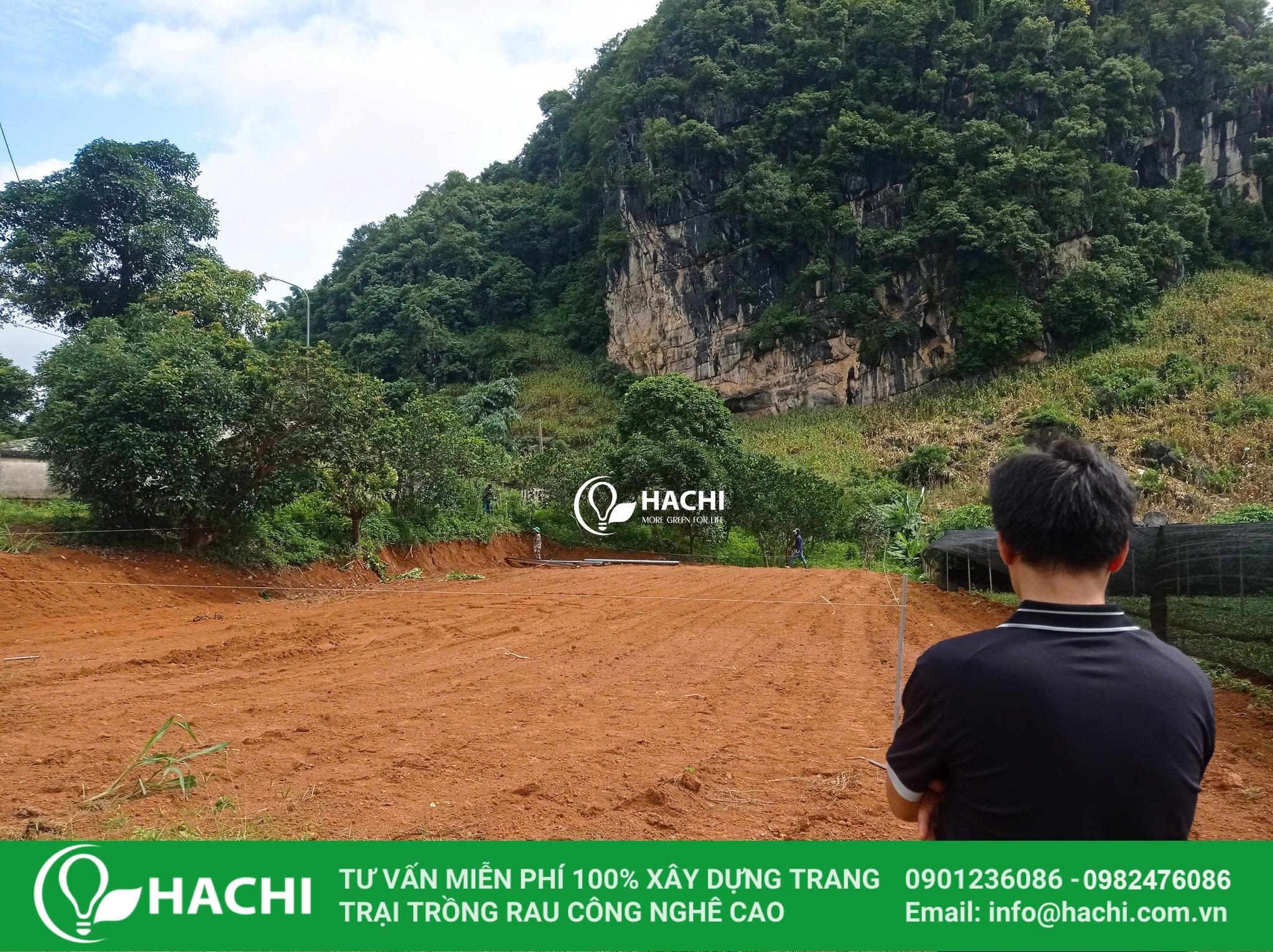 Chi phí làm nhà lưới 100m2 là bao nhiêu? Cập nhật mới nhất 13 Khảo sát và tư vấn nhu cầu