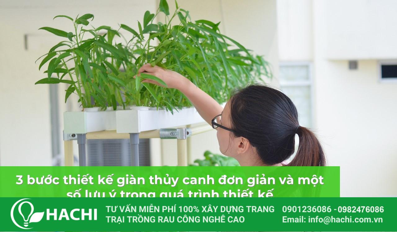 thiet ke gian thuy canh