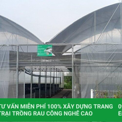 Nhà màng Economic HC6.0 11 402110404 822262963238899 6628092432602479205 n min