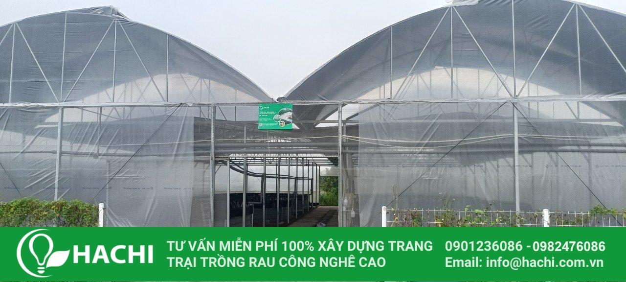 Nhà màng Economic HC6.0 5 402110404 822262963238899 6628092432602479205 n min