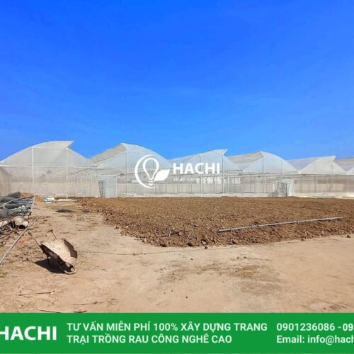 Trang chủ 47 402868437 822262666572262 1869656607045970273 n min 1