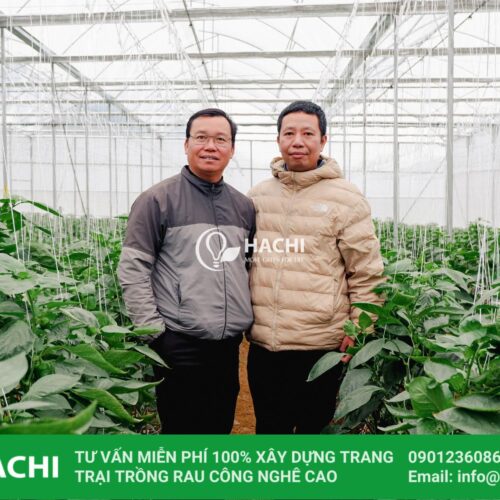 Nhà màng Cao cấp HC9.6-CC 12 414136849 847197507412111 5883407933144627529 n min