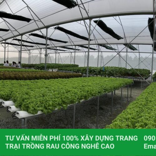 Nhà màng Cao cấp HC9.6-CC 9 Cách lợp màng nhà kính