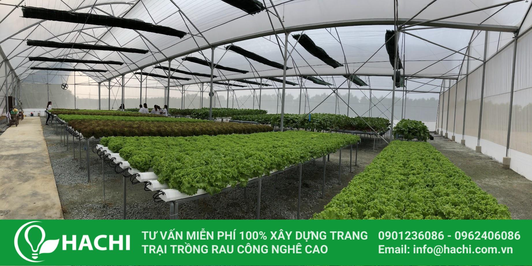Nhà màng Cao cấp HC9.6-CC 3 Cách lợp màng nhà kính