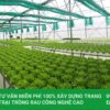 Hệ thống trồng rau thủy canh