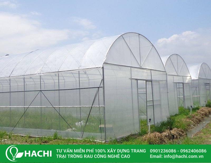 Bản thiết kế nhà màng trồng rau