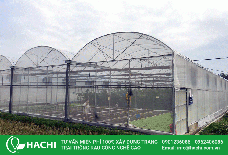 Bản vẽ thiết kế nhà màng mái vòm