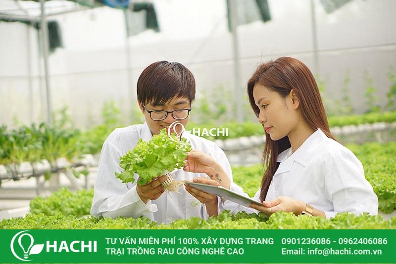 Lưu ý khi lựa chọn bản vẽ thiết kế nhà màng