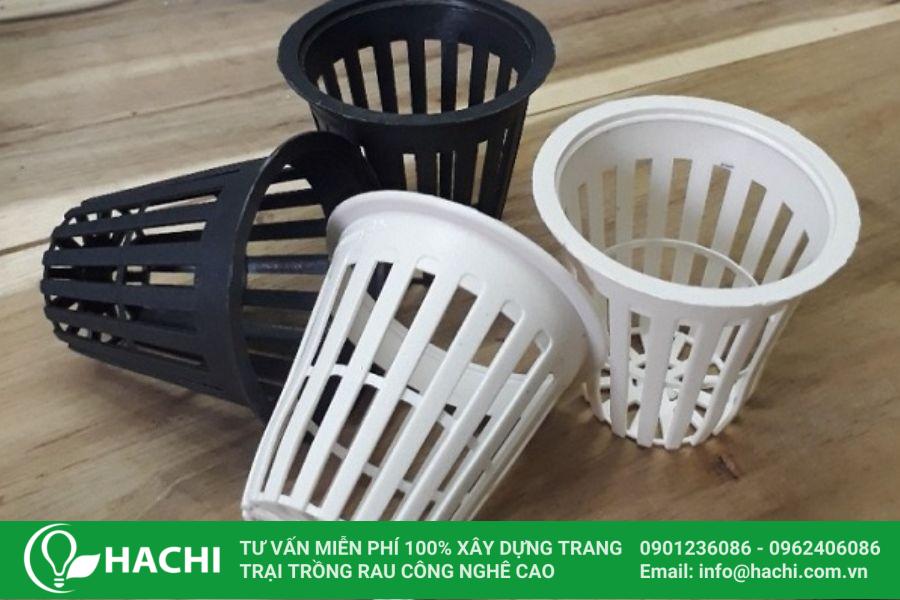 Kĩ thuật trồng xà lách thủy canh