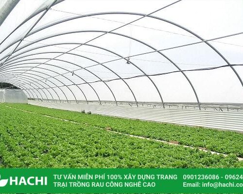 nhà màng nông nghiệp
