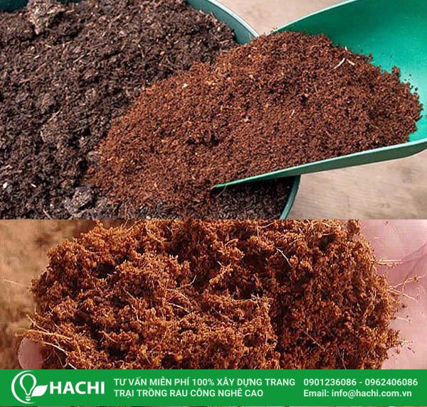 Giá thể trồng xà lách thủy canh
