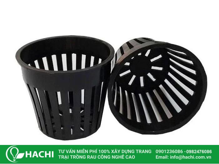 Cách trồng dưa leo thủy canh đơn giản cho năng suất cao nhất 12 Cách trồng dưa leo thủy canh