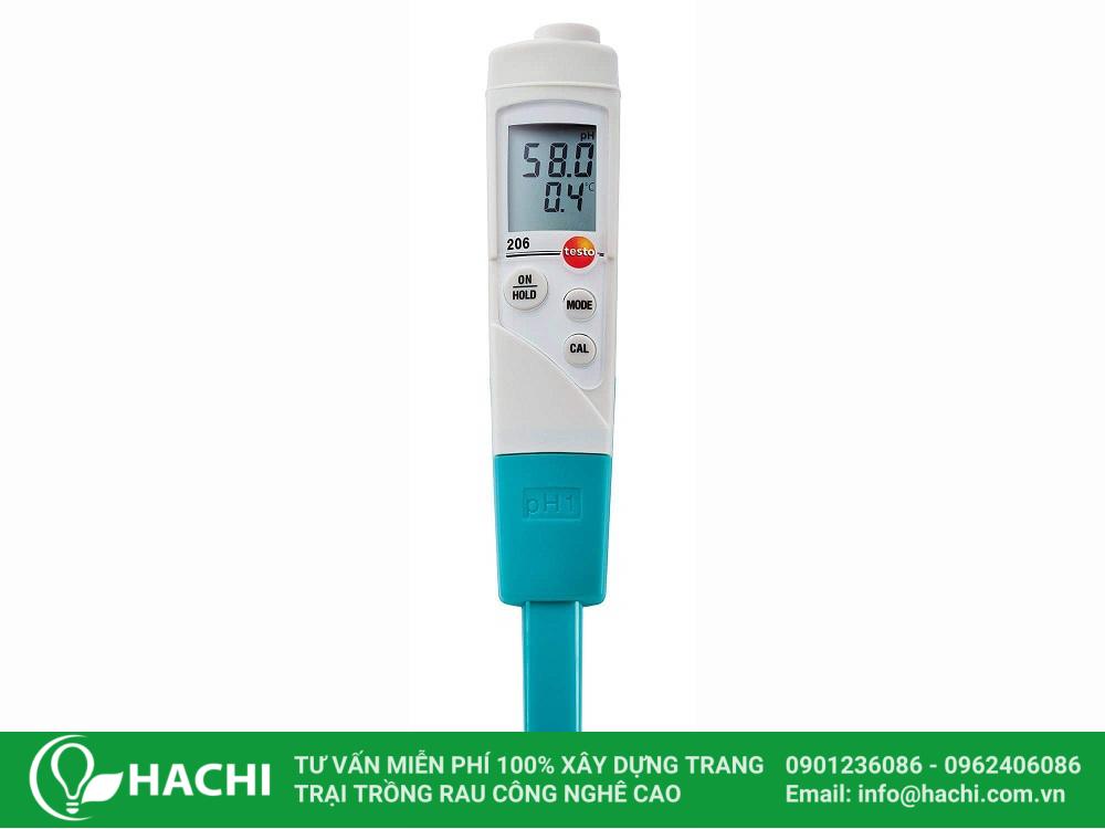 Cách trồng hành tây thủy canh