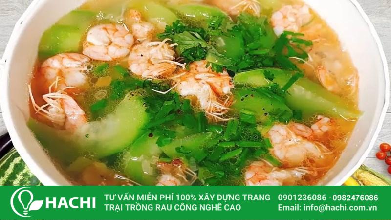 Cách trồng mướp thủy canh