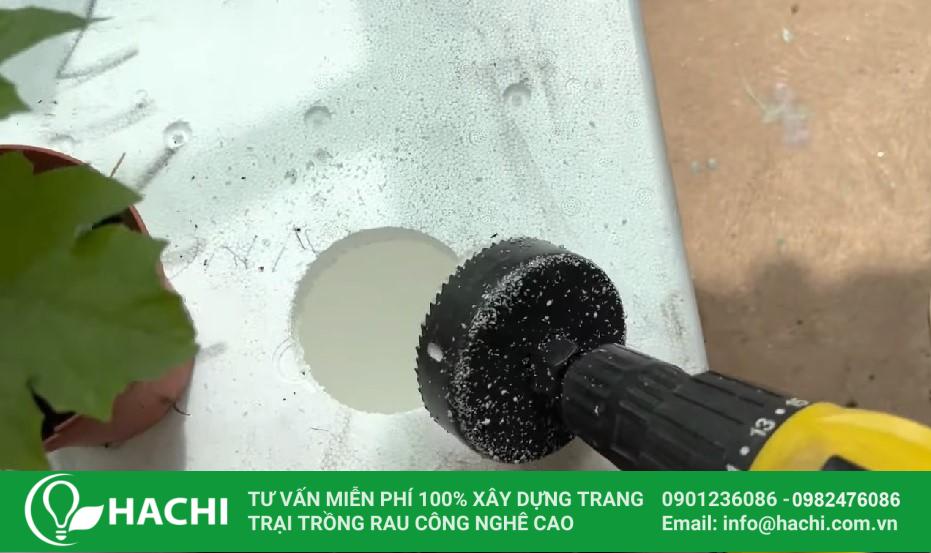 Cách trồng cây mướp thủy canh tại nhà