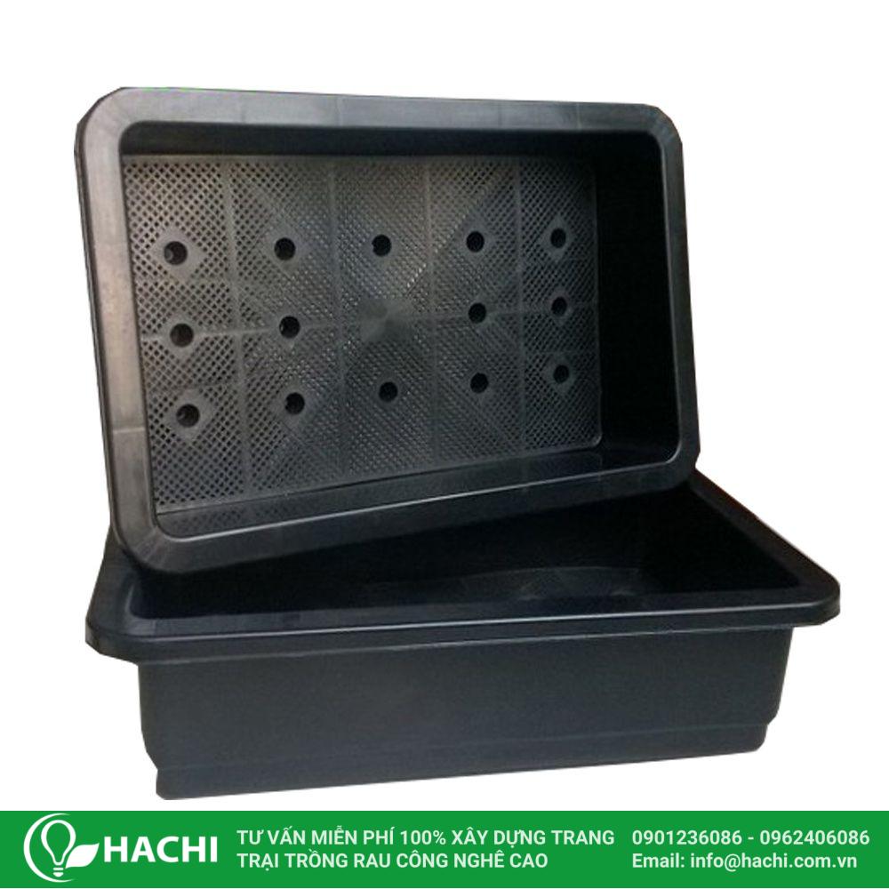 Khay nhựa trồng củ hành tây thủy cảnh