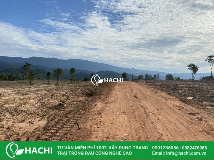Chi phí trồng rau thủy canh