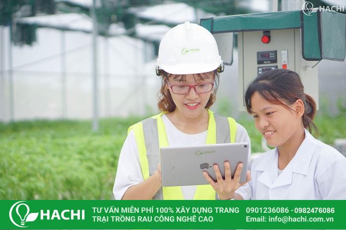 Chi phí trồng rau thủy canh