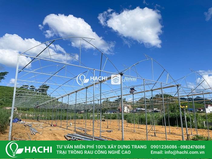 Chi phí trồng rau thủy canh 10002