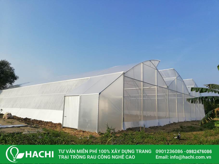 Chi phí trồng rau thủy canh