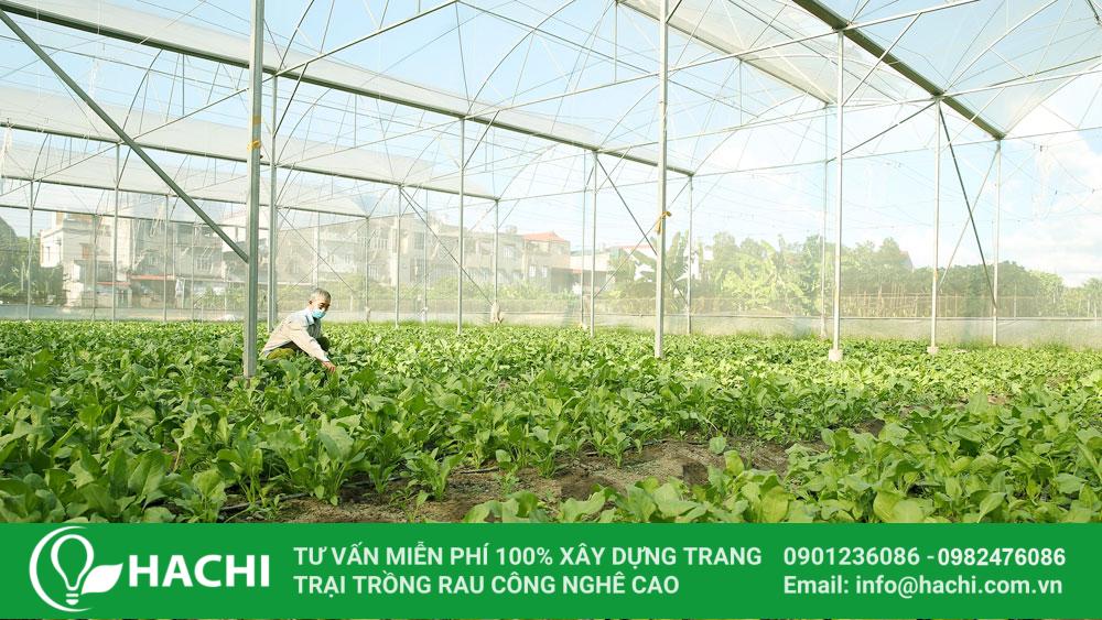 mo hinh ung dung cong nghe cao