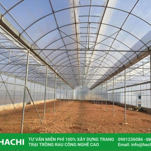 Nhà màng phơi xơ dừa