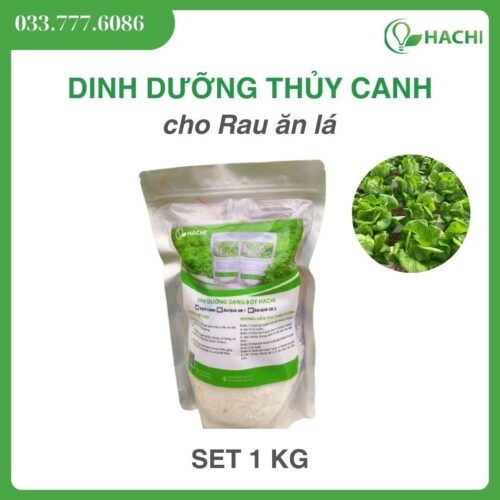 Dinh dưỡng thuỷ canh dạng Bột cho RAU ĂN LÁ 1KG