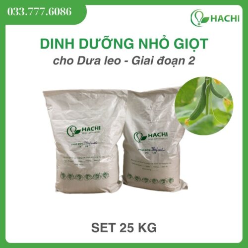Phân bón nhỏ giọt cho DƯA LEO set pha 100 lít đậm đặc - Giai đoạn 2